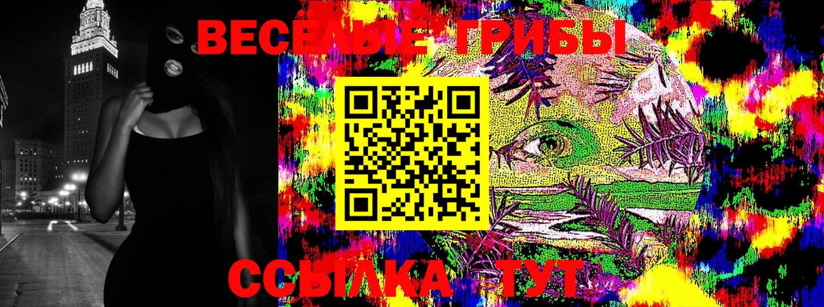 Псилоцибиновые грибы GOLDEN TEACHER Звенигород